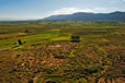 My Gallery: Image